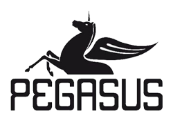 pegasus-üst.png (35 KB)