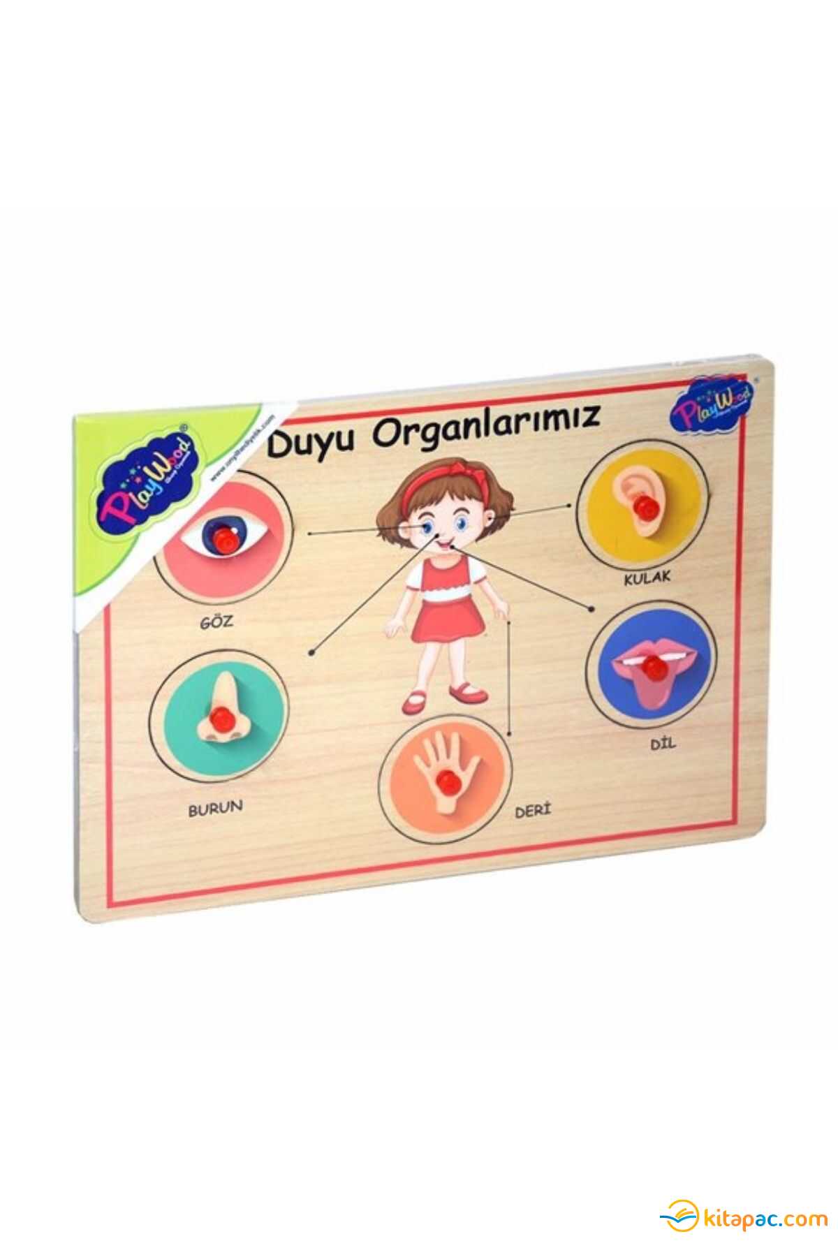Onyıl Playwood Ahşap Tutmalı Organlar