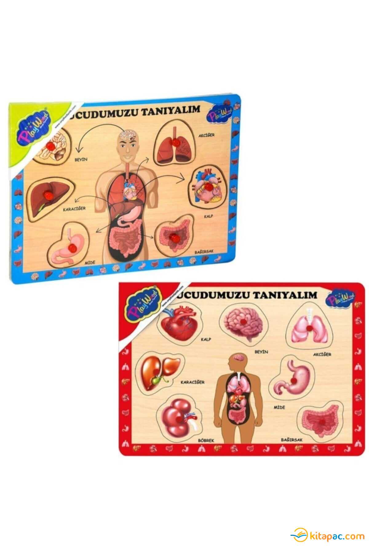 Onyıl Playwood Ahşap Tutmalı Vücudumuzu Tanıyalım